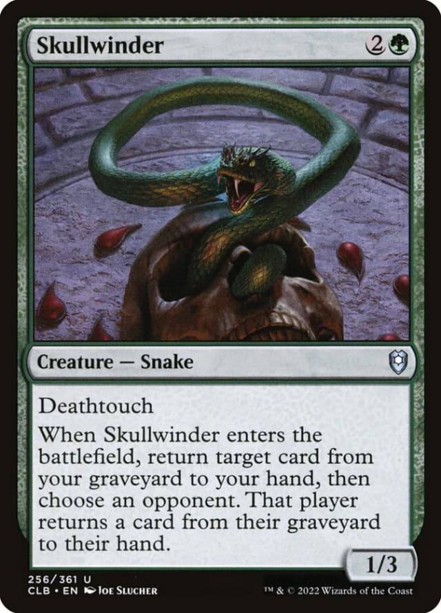 Skullwinder image