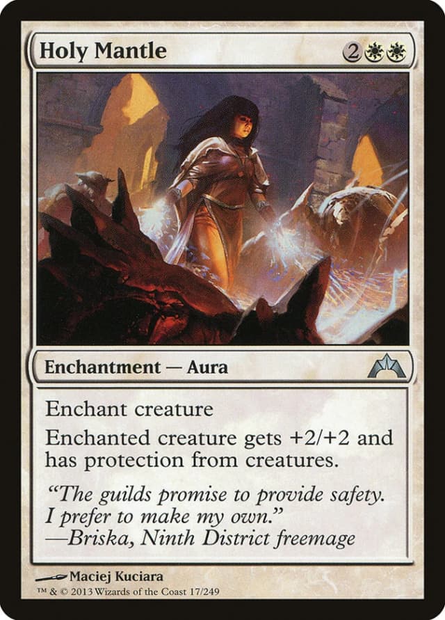 Holy Mantle image