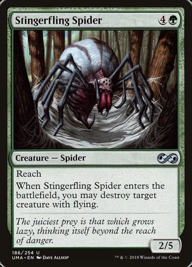 Stingerfling Spider image
