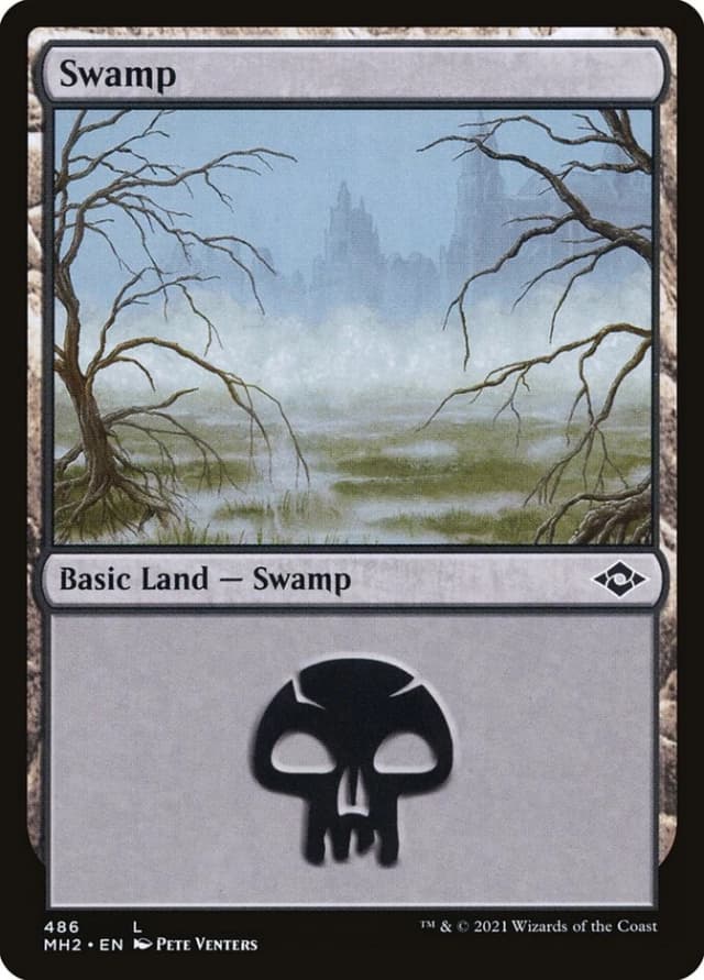 Swamp image