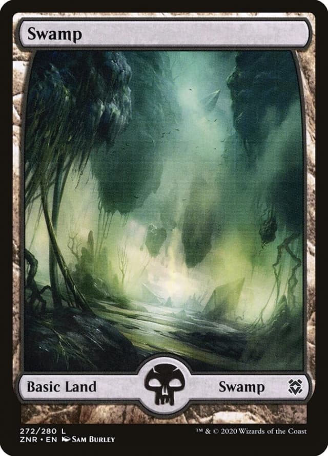 Swamp image