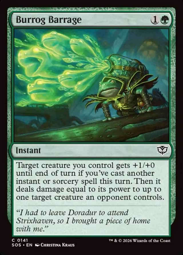 Burrog Barrage image
