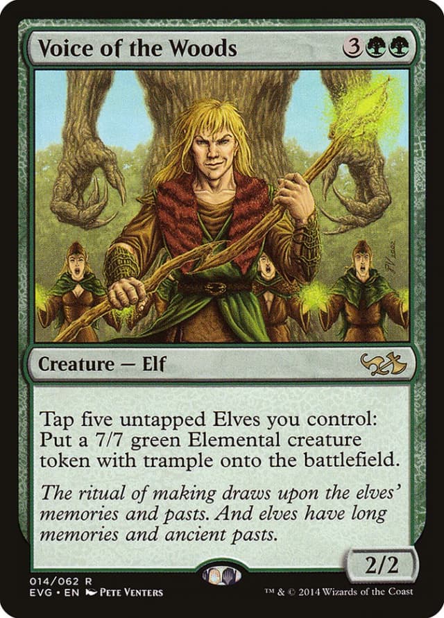 Voice of the Woods image