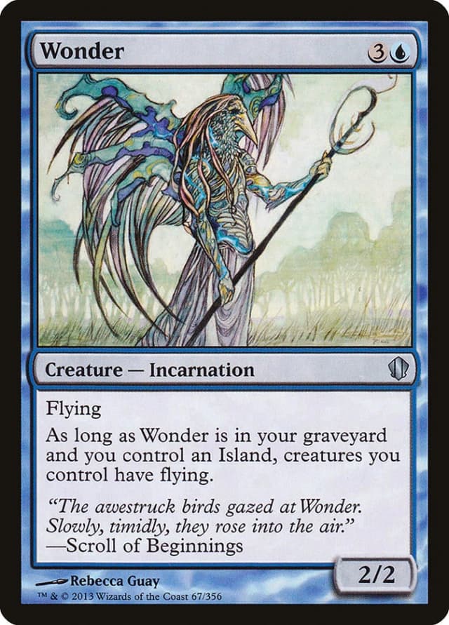 Wonder image