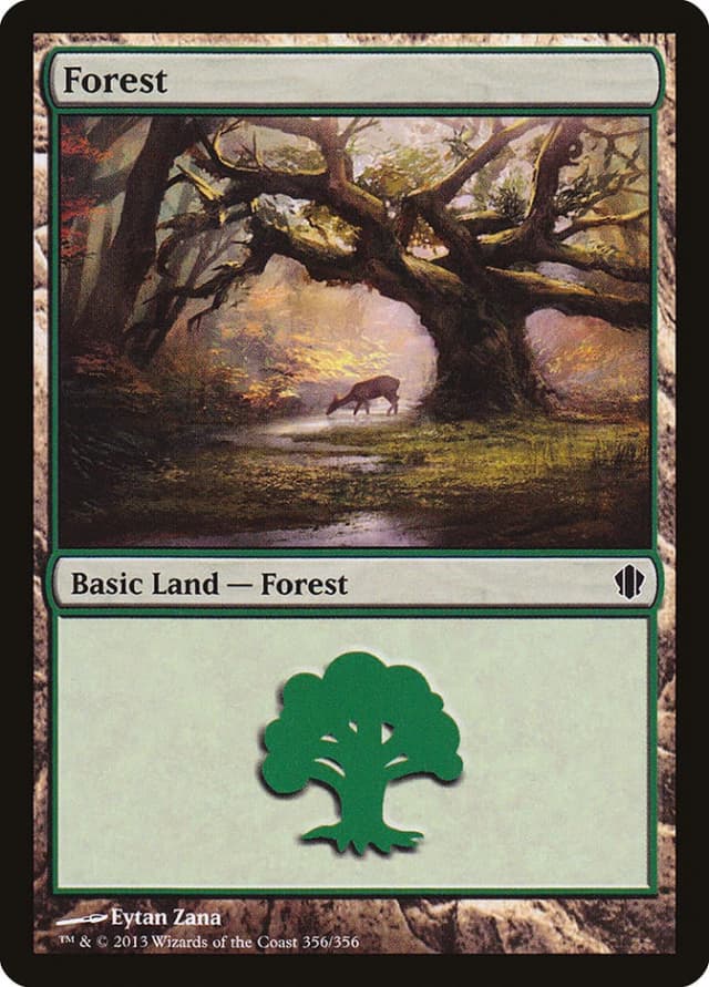 Forest image