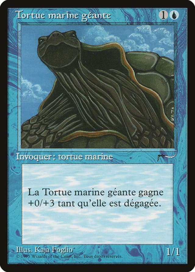 Giant Tortoise image
