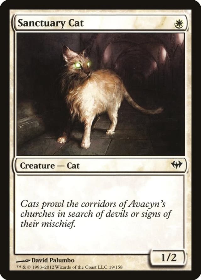 Sanctuary Cat image