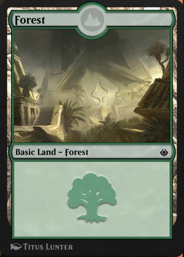 Forest image
