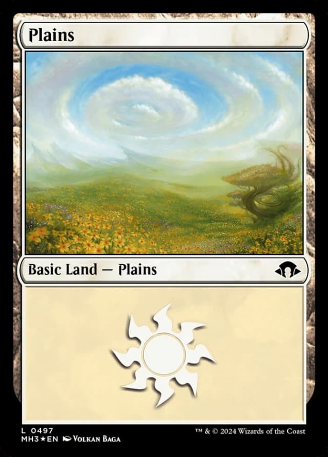 Plains image