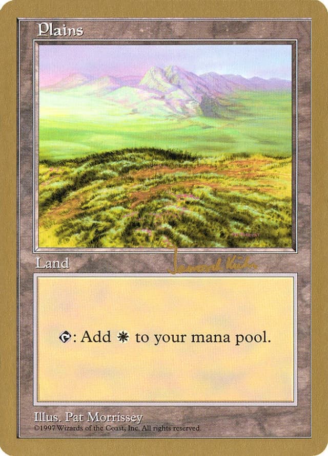 Plains image