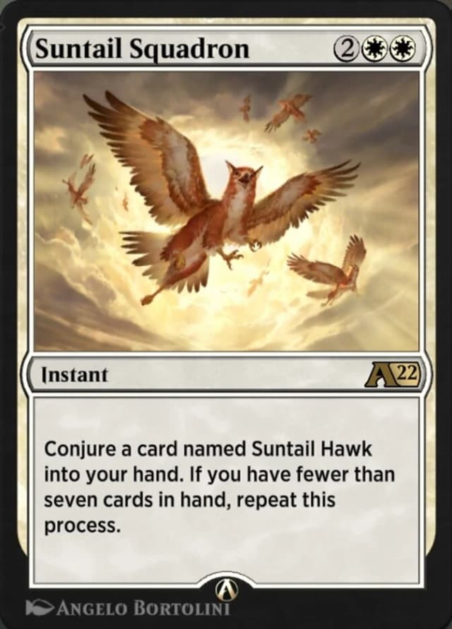 Suntail Squadron image