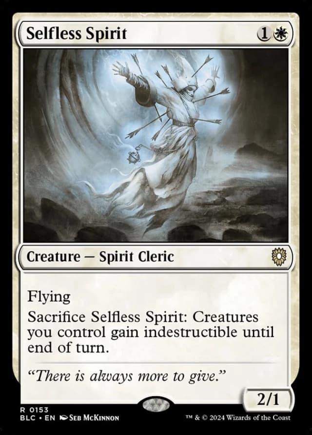 Selfless Spirit image