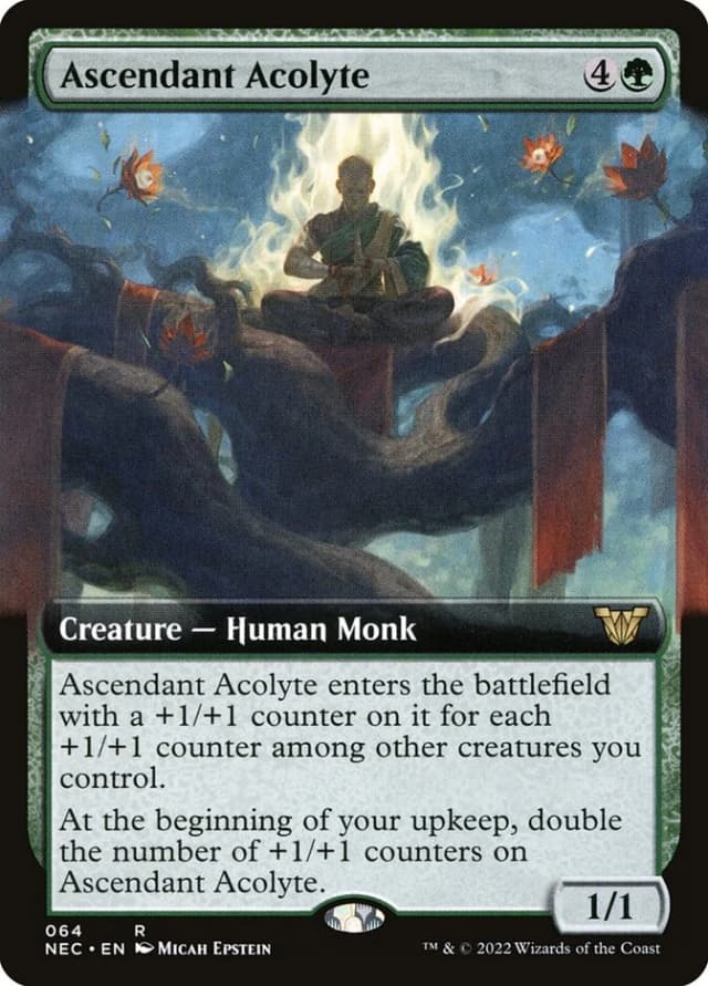 Ascendant Acolyte image