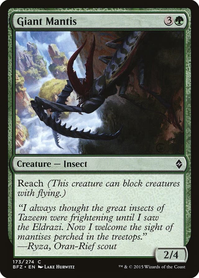 Giant Mantis image