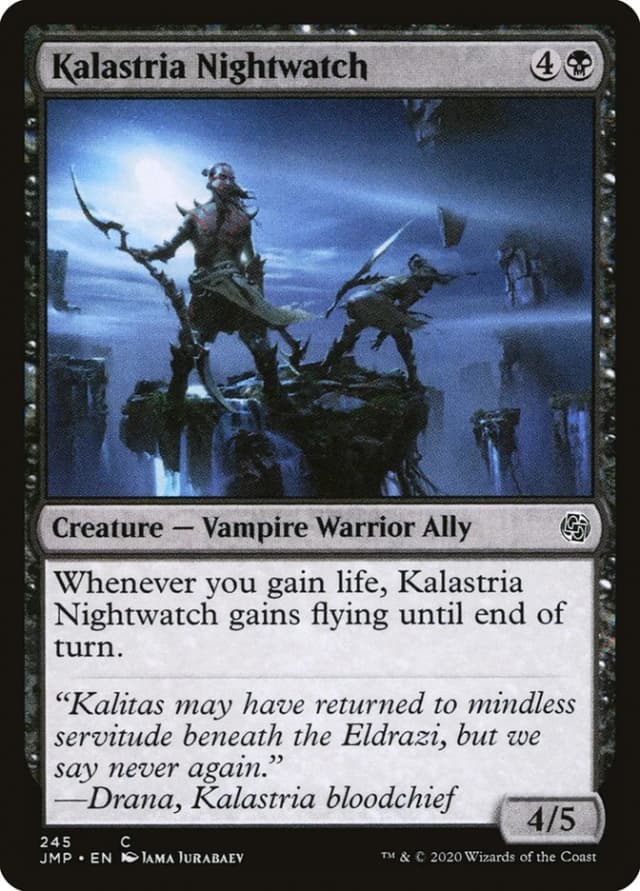 Kalastria Nightwatch image