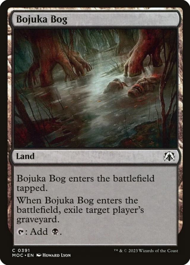 Bojuka Bog image