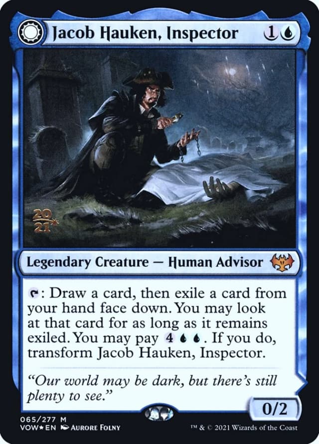Jacob Hauken, Inspector // Hauken's Insight image