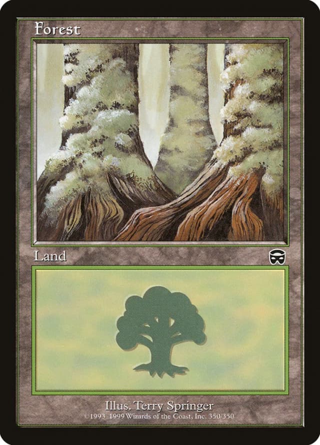 Forest image