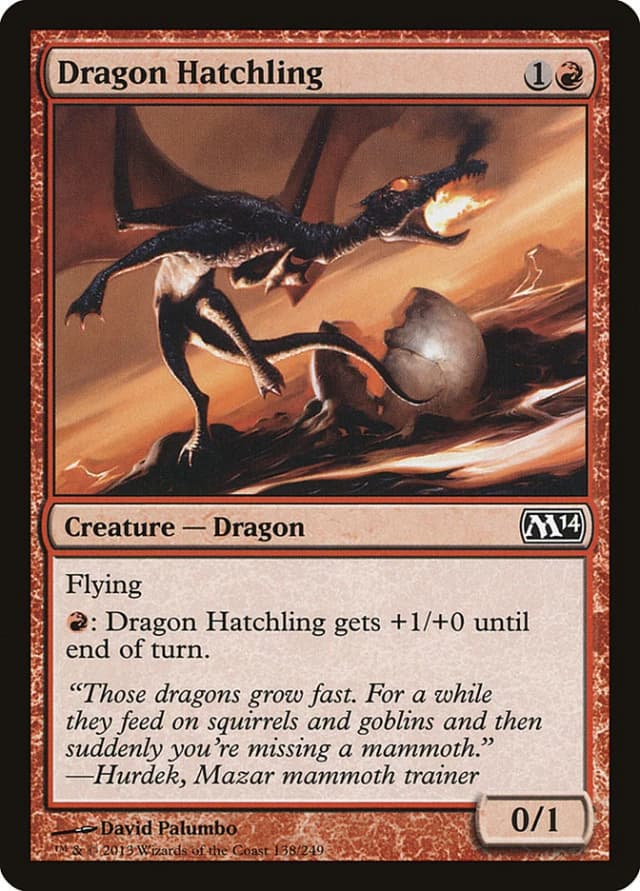 Dragon Hatchling image
