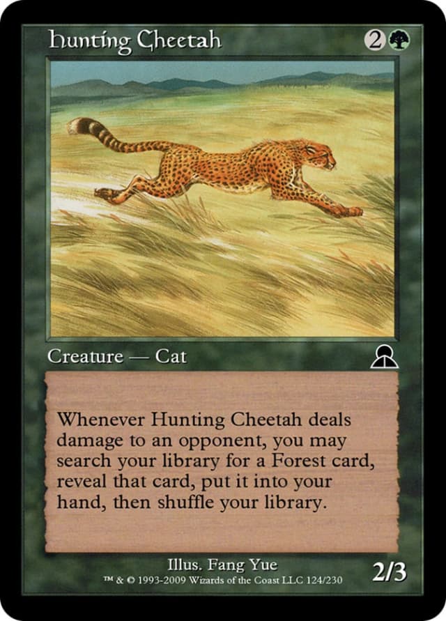 Hunting Cheetah image