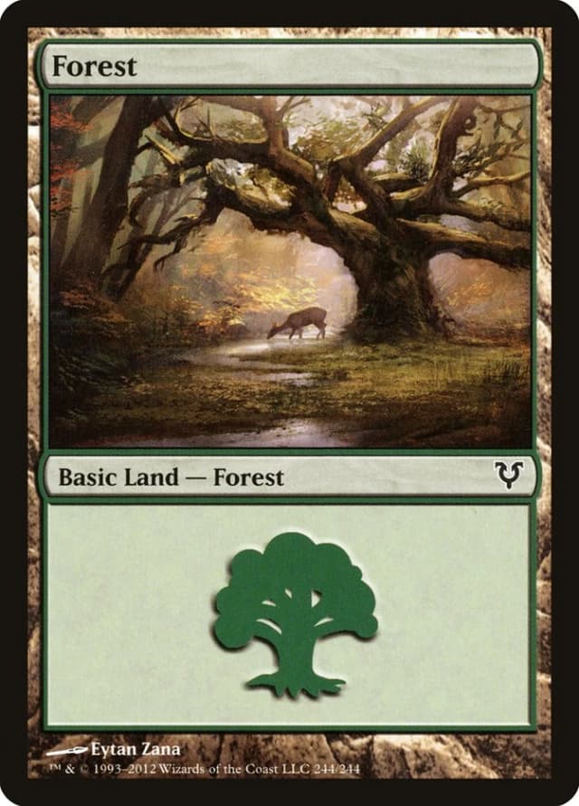 Forest image