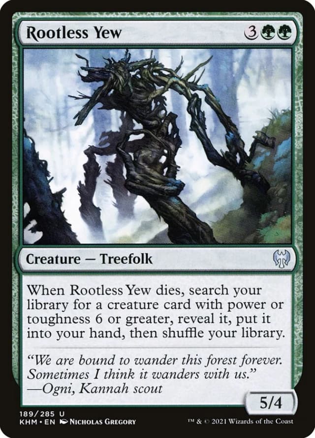 Rootless Yew image