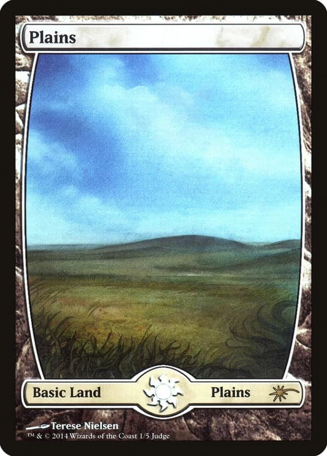 Plains image