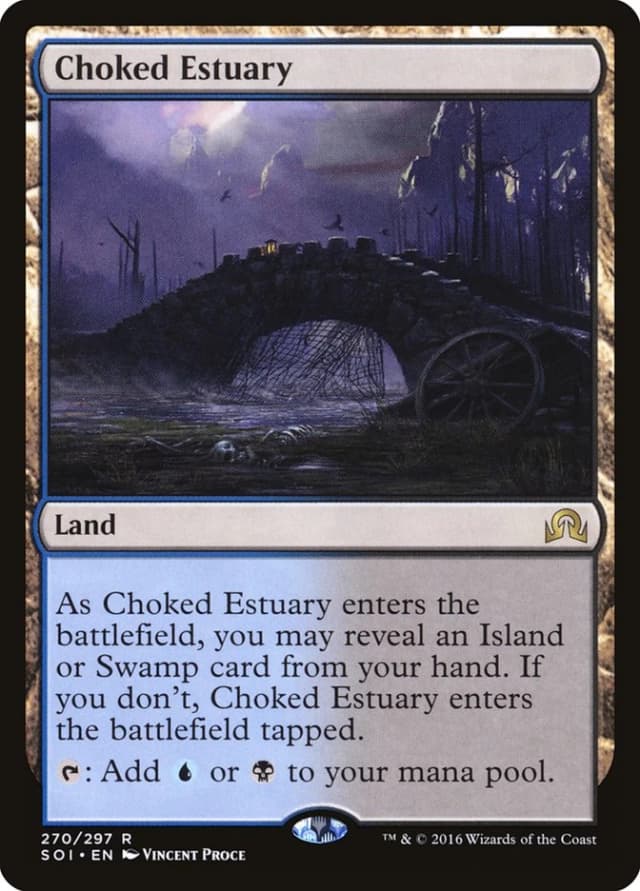 Choked Estuary image