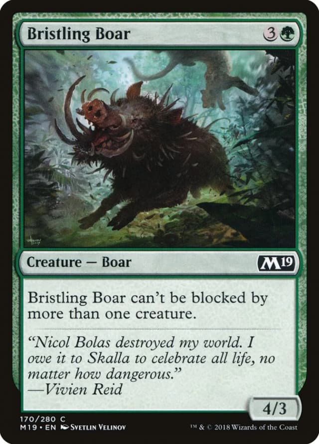 Bristling Boar image