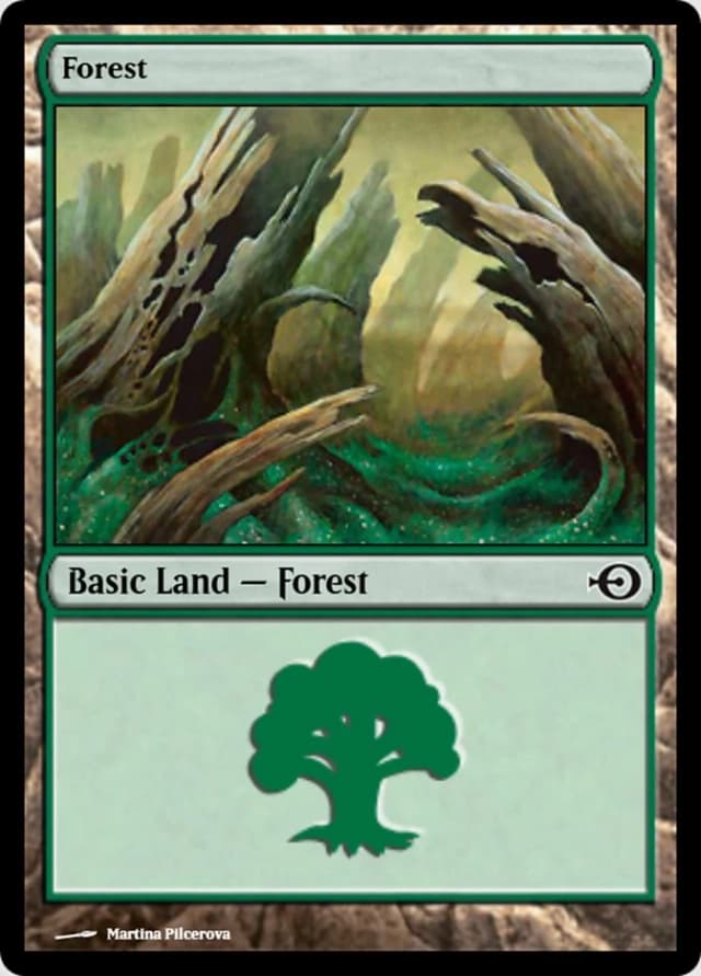 Forest image