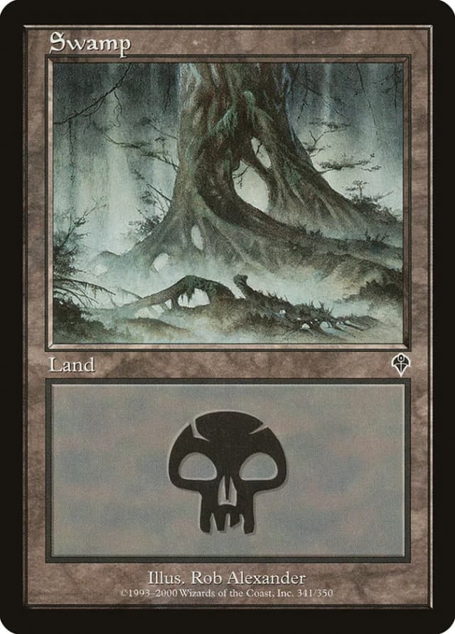 Swamp image