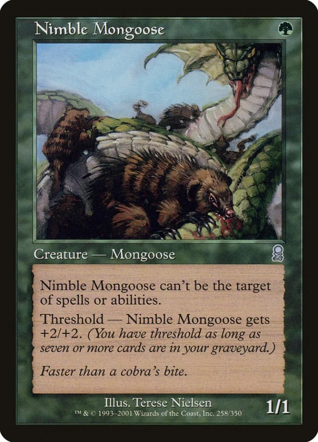 Nimble Mongoose image