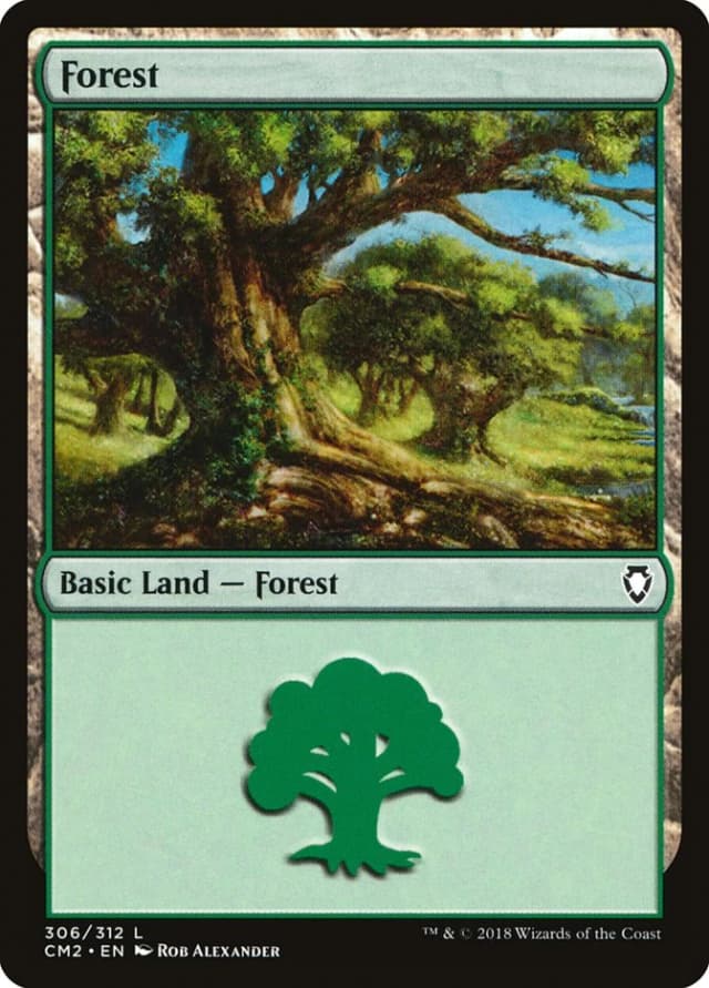 Forest image