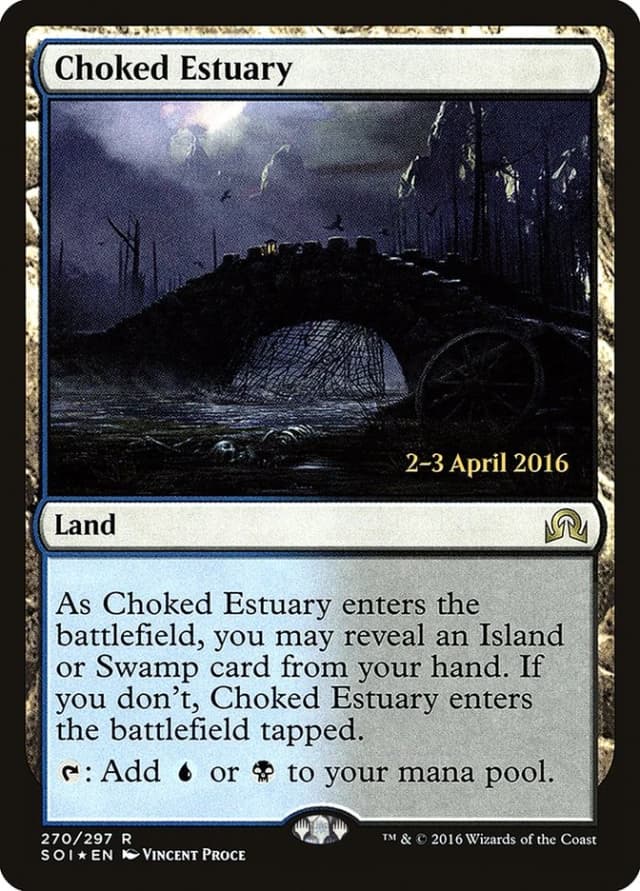 Choked Estuary image
