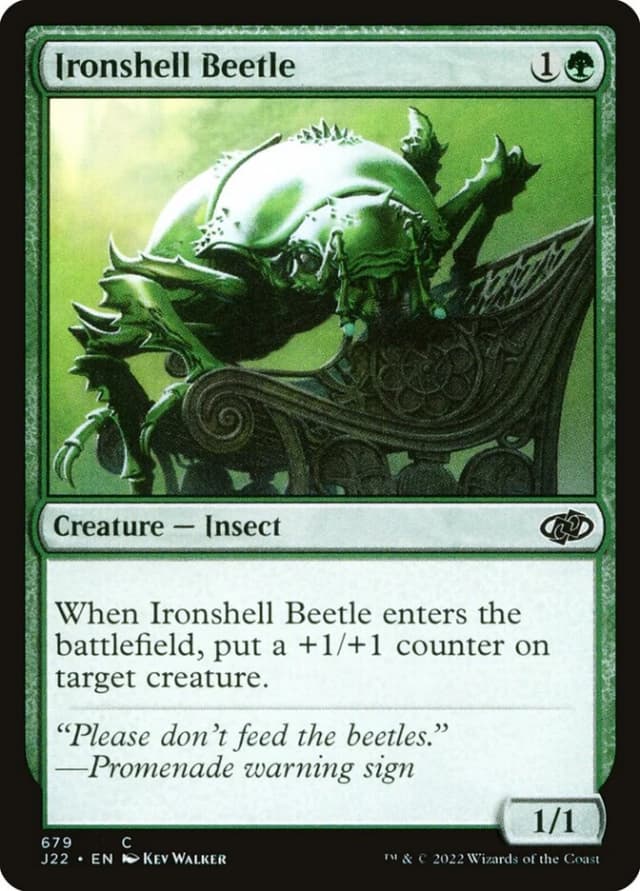 Ironshell Beetle image