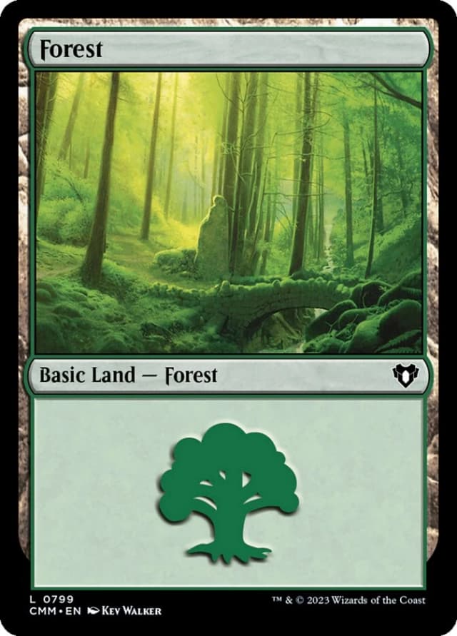 Forest image