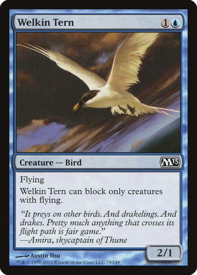 Welkin Tern image