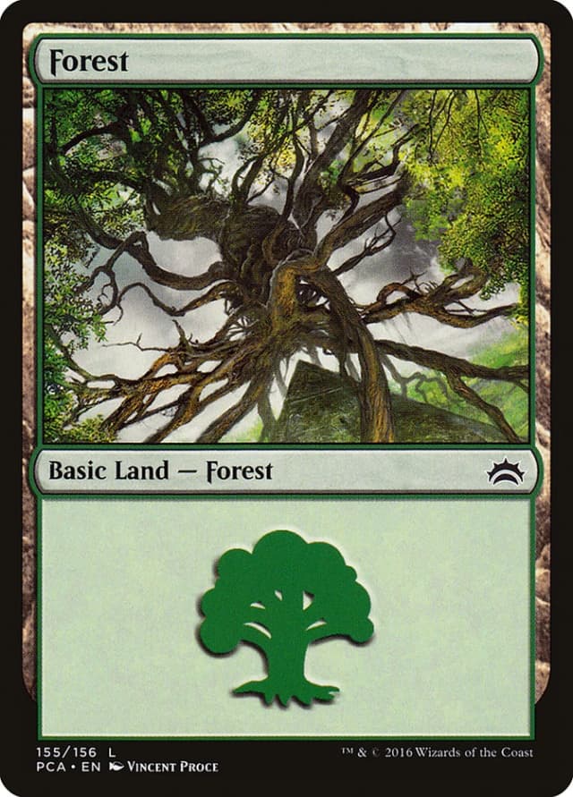 Forest image