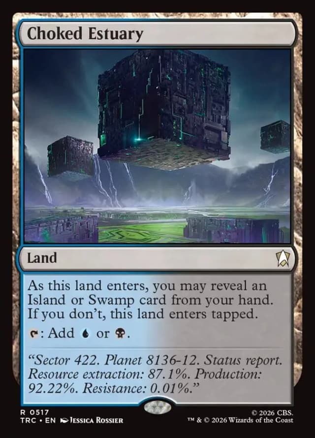 Choked Estuary image