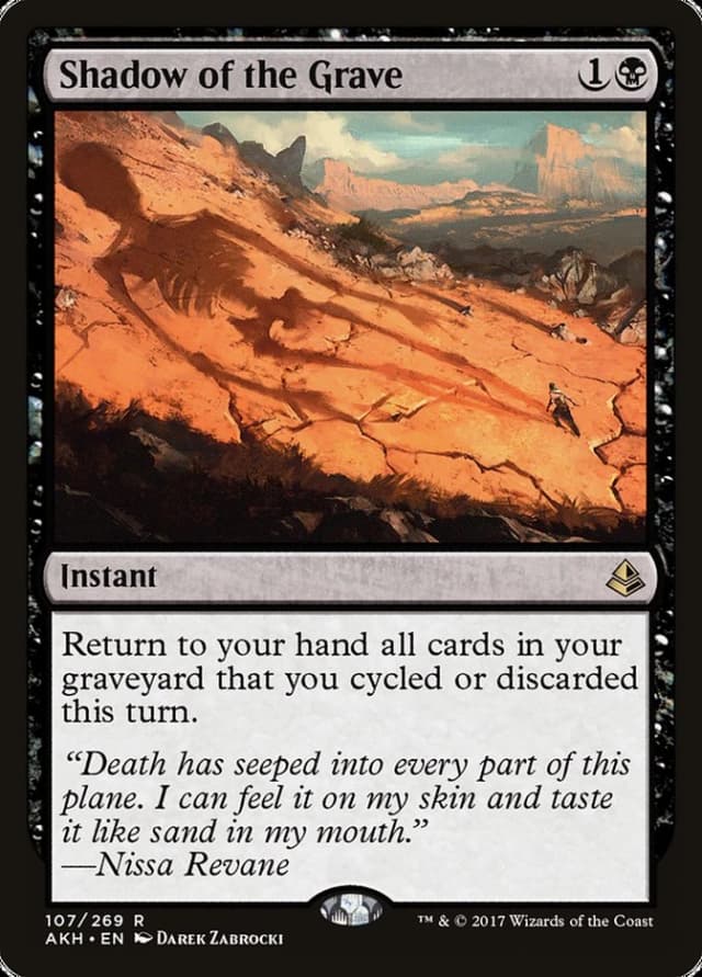 Shadow of the Grave image