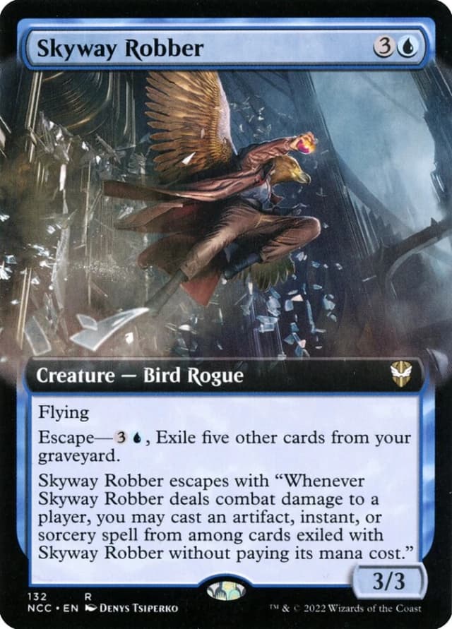 Skyway Robber image
