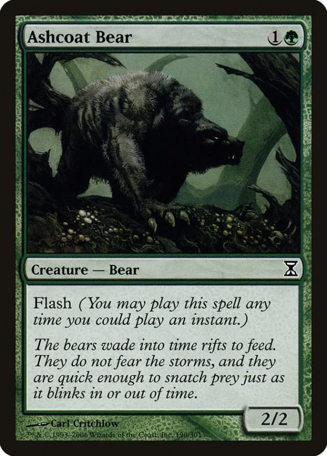 Ashcoat Bear image