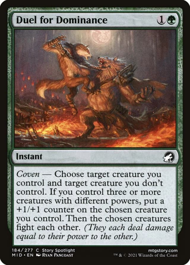 Duel for Dominance image