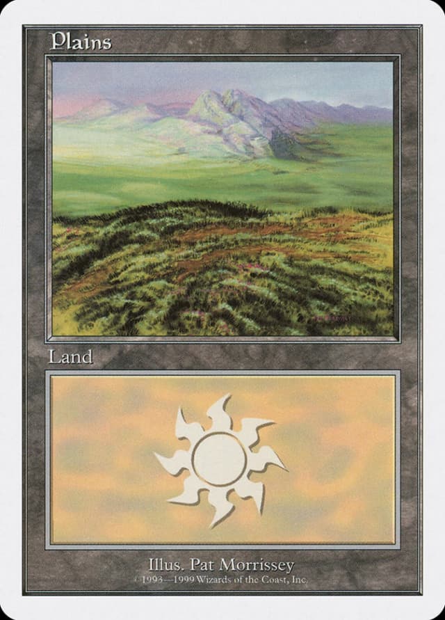 Plains image