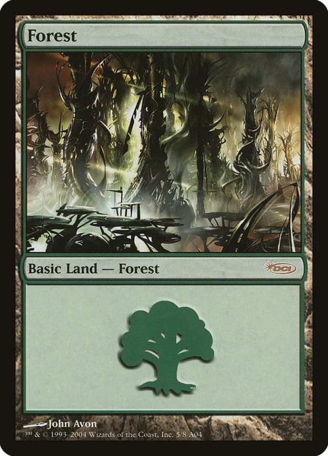 Forest image