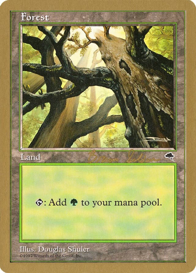 Forest image