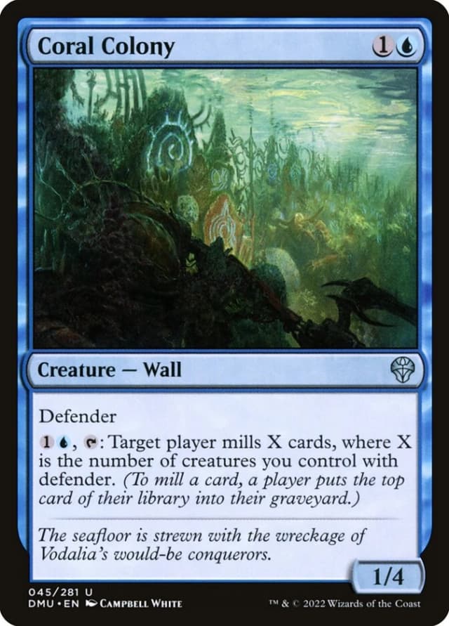 Coral Colony image