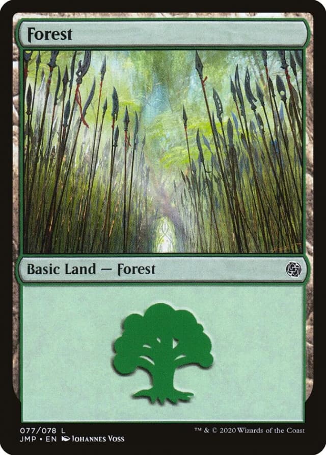 Forest image
