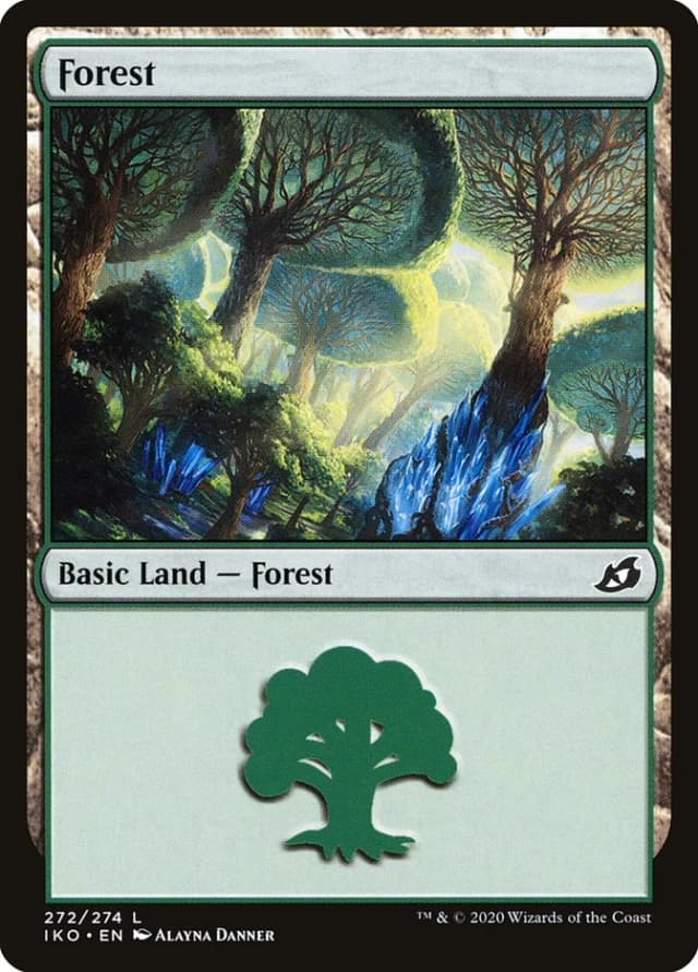 Forest image