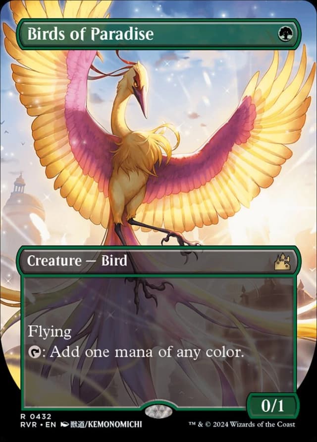 Birds of Paradise image